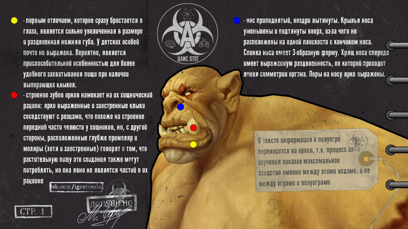 Game Creature Anatomy Center - Half Ogre Archives - My, Games, Computer games, World of warcraft, Orcs, Horde, Anatomy, Rexar, Longpost, Warcraft, , Blizzard