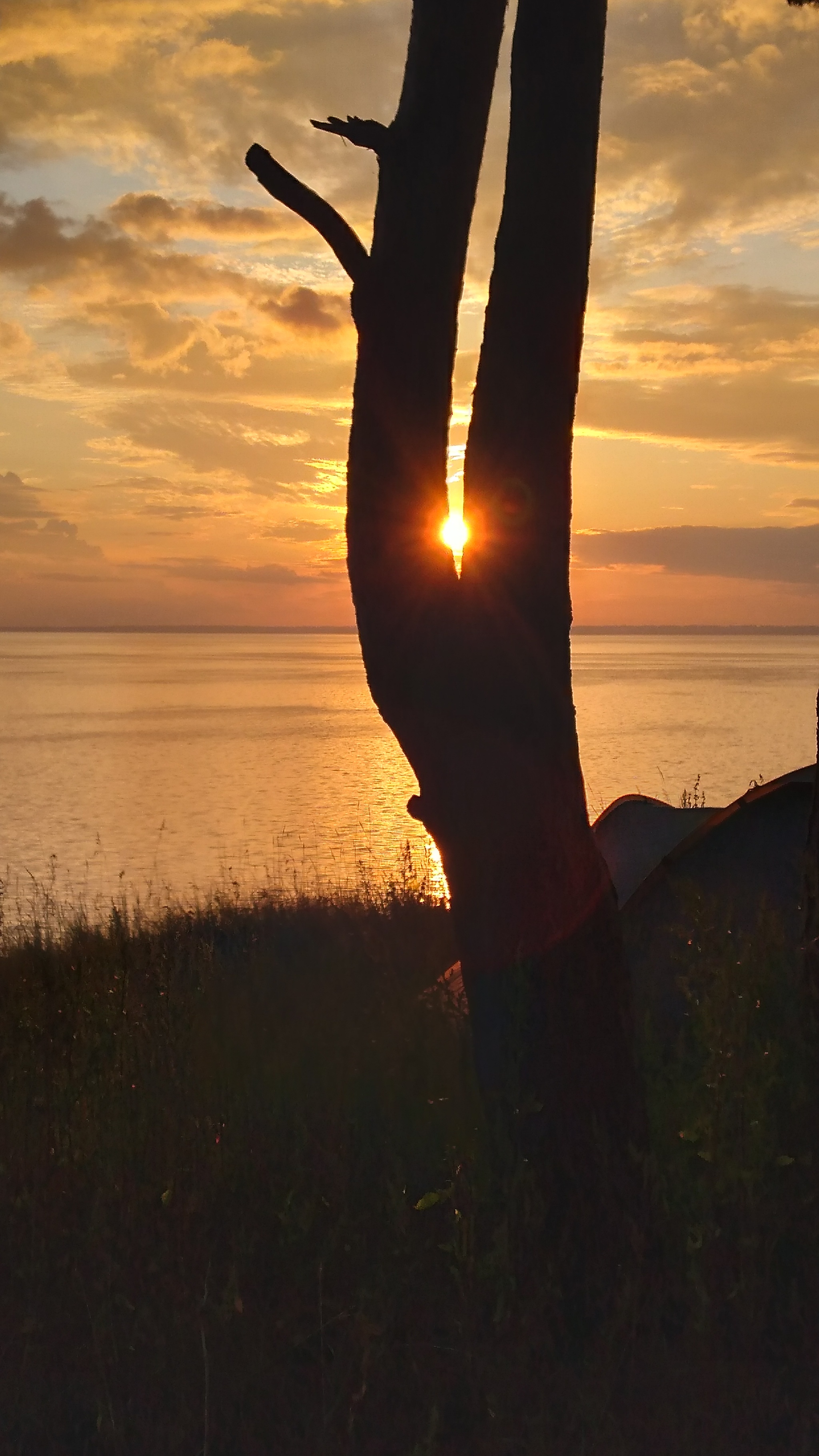 Sunset on the Berdskaya Spit - My, Summer, Nature, Berdsk, The photo, Sunset, Longpost, Ob sea