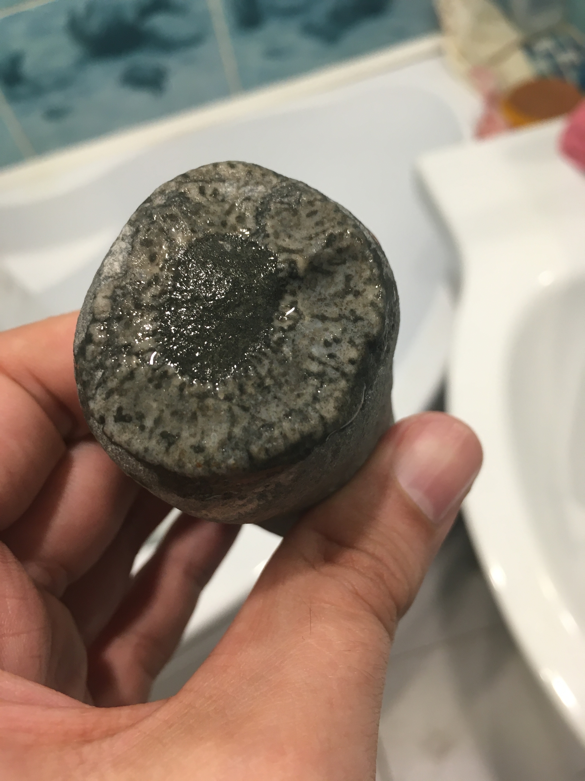 What is this thing? - My, Fossils, What's this?, Video, Longpost