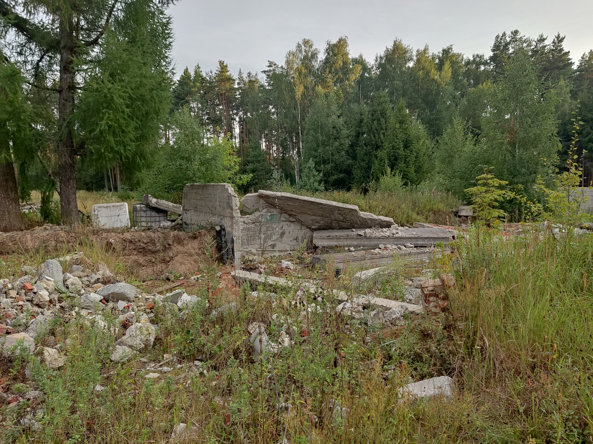 Tell me what it was in Ramenskoye? - My, Ramenskoe, Forest Park, Abandoned, Longpost