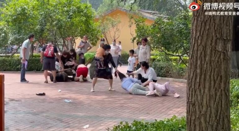 Visitors to a safari park in Beijing staged a fight. - Wild animals, Safari Park, China, Beijing, Interesting, news, Animals, Video, Longpost, Translation, , Gorilla, Primates