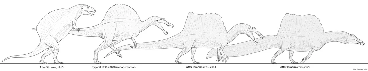 Спинозавр: От жирной морской коровы до титанического тритона. Как изменилась внешность популярного динозавра за 100 лет? - Динозавры, Палеонтология, Спинозавр, Книга животных, Яндекс Дзен, Длиннопост