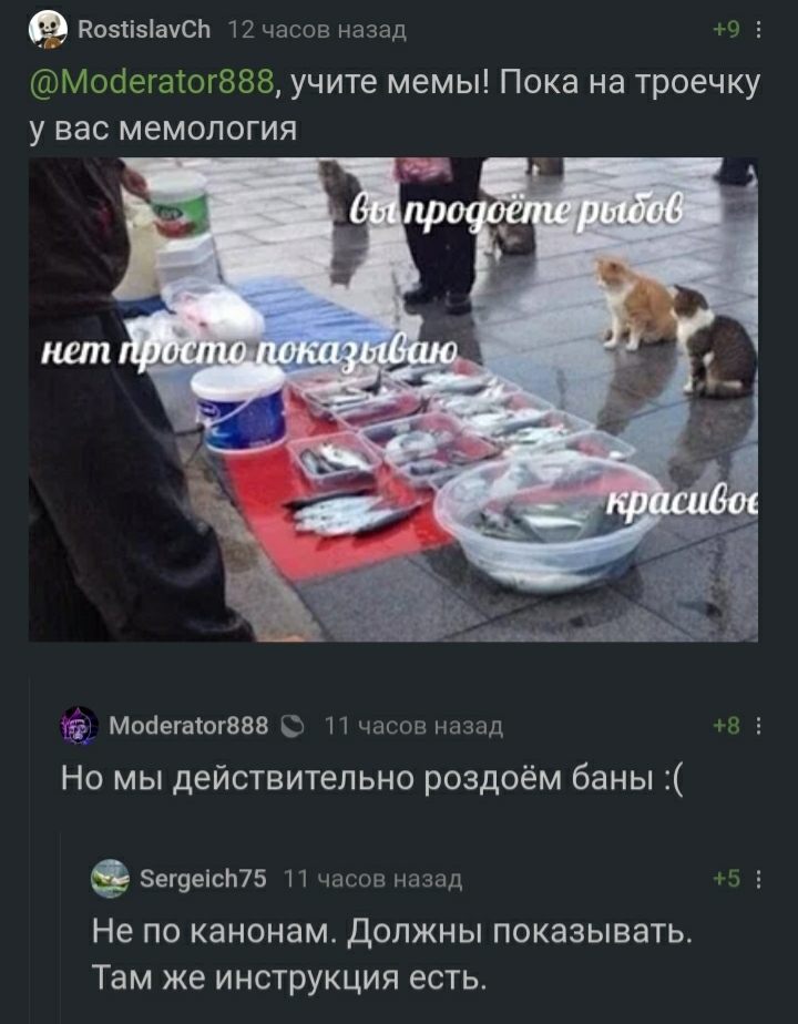 Caring pikabushniki instruct the young moderator on the true path ... - Comments, Comments on Peekaboo, Do you sell fish?, Memology, Moderator