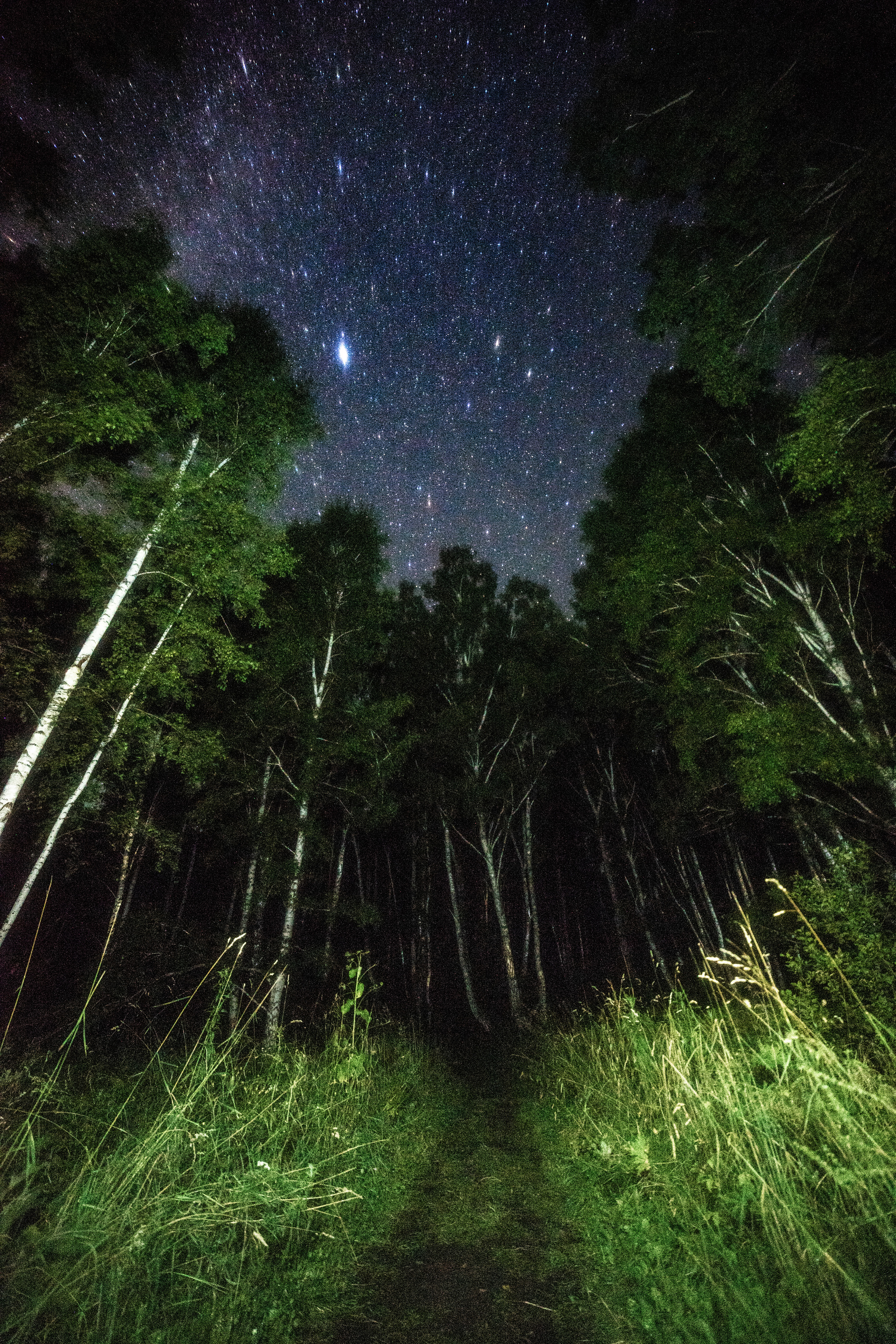 Some night sky outside the city - My, Milky Way, Astrophoto, Starry sky, Stars, Night shooting, Long exposure, Siberia, Space, Longpost