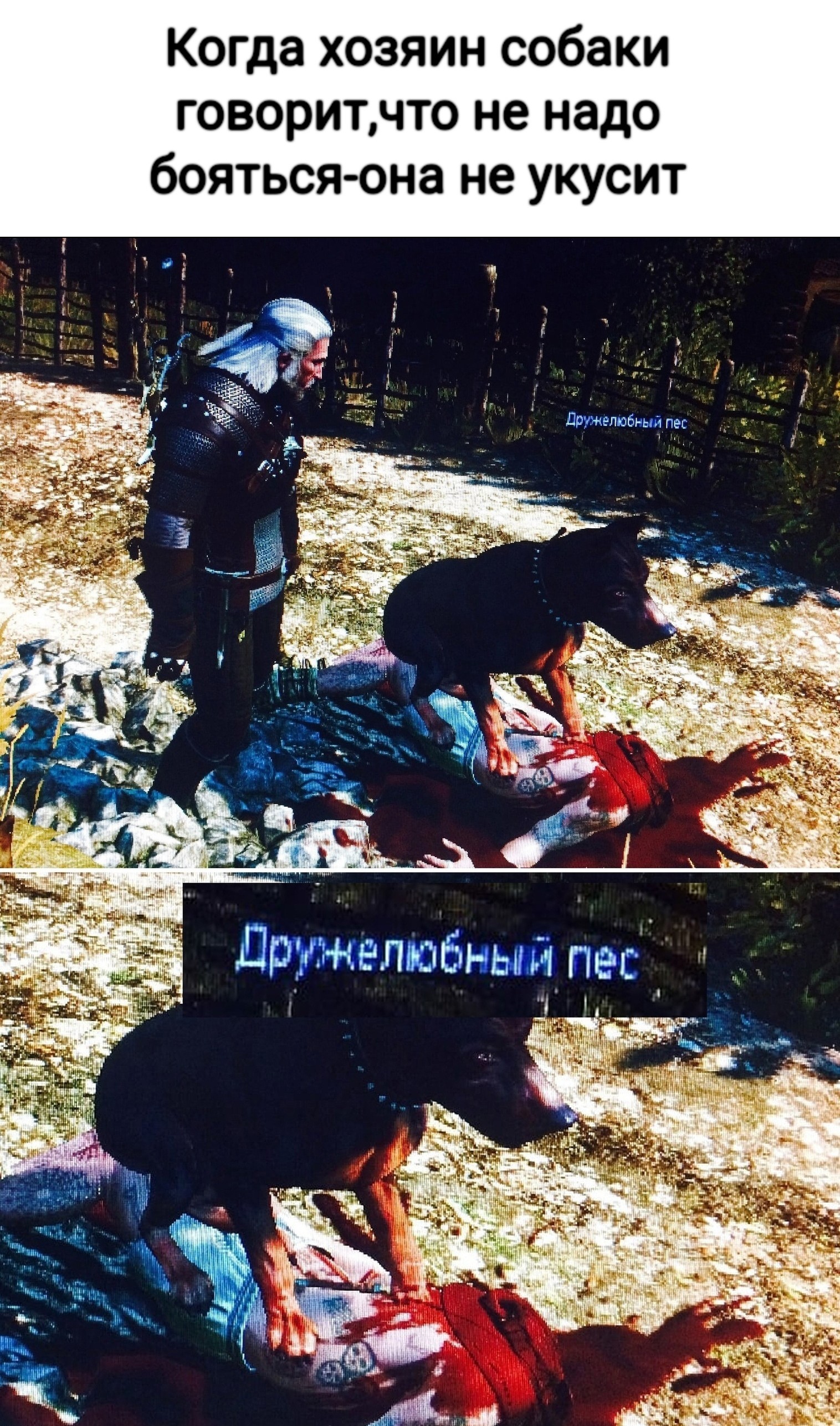 friendly dog - My, Memes, Picture with text, Geralt of Rivia, Dog, The Witcher 3: Wild Hunt