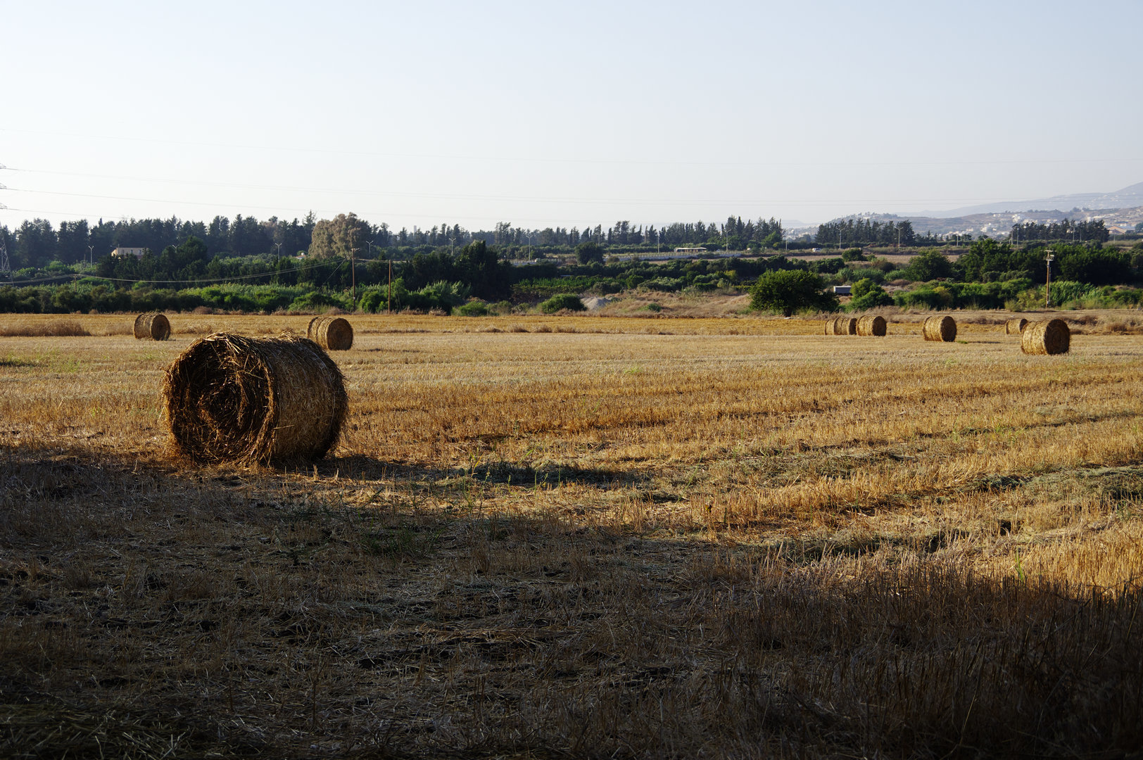 Paphos airport - My, Cyprus, Pathos, Spotting, Pentax, Longpost