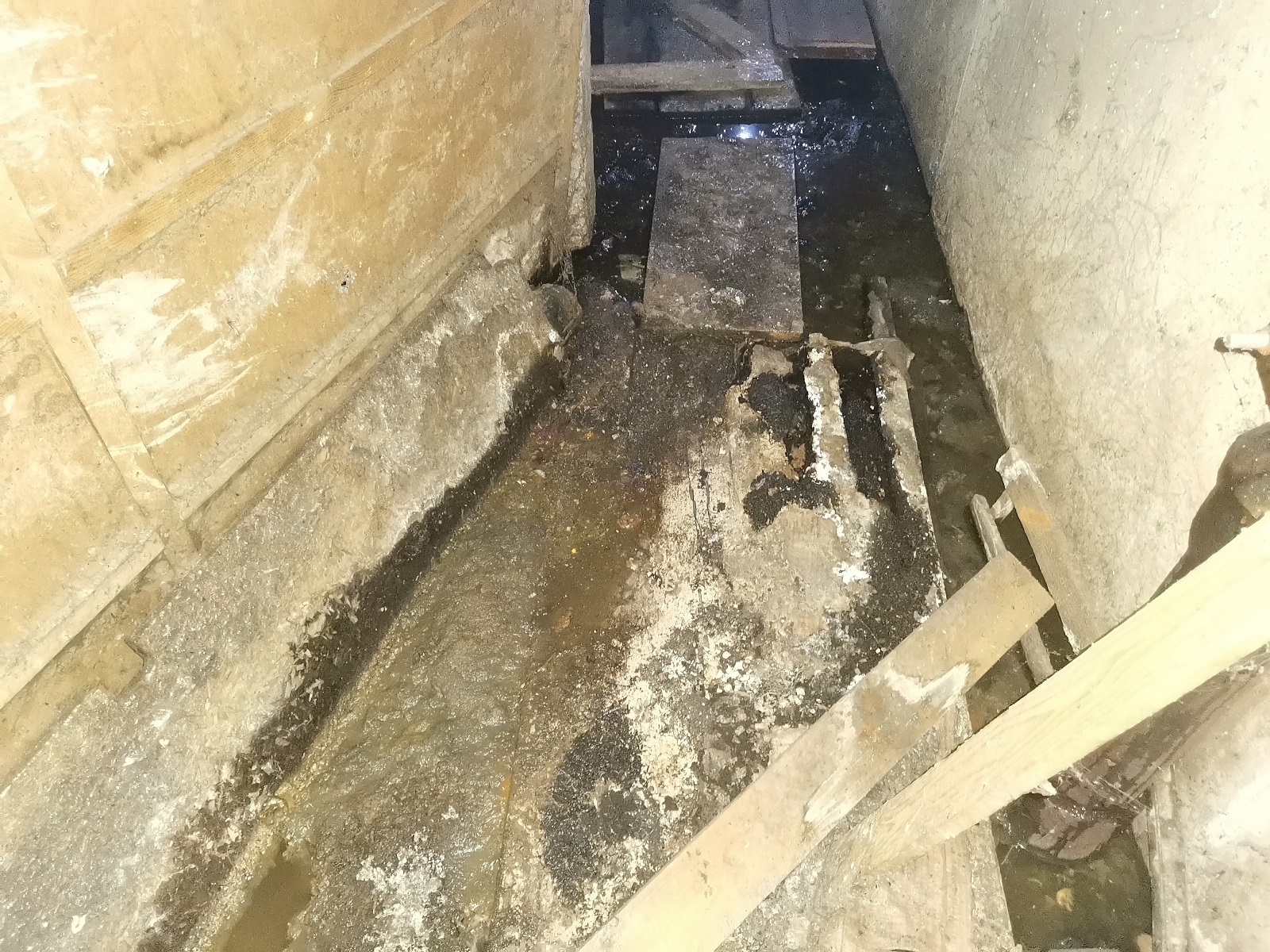 Defeated and scored: in Voronezh, the management company abandoned sewer repairs - My, Voronezh region, Voronezh, Housing and communal services, Communal, Lawlessness, Mess, Stench, Longpost