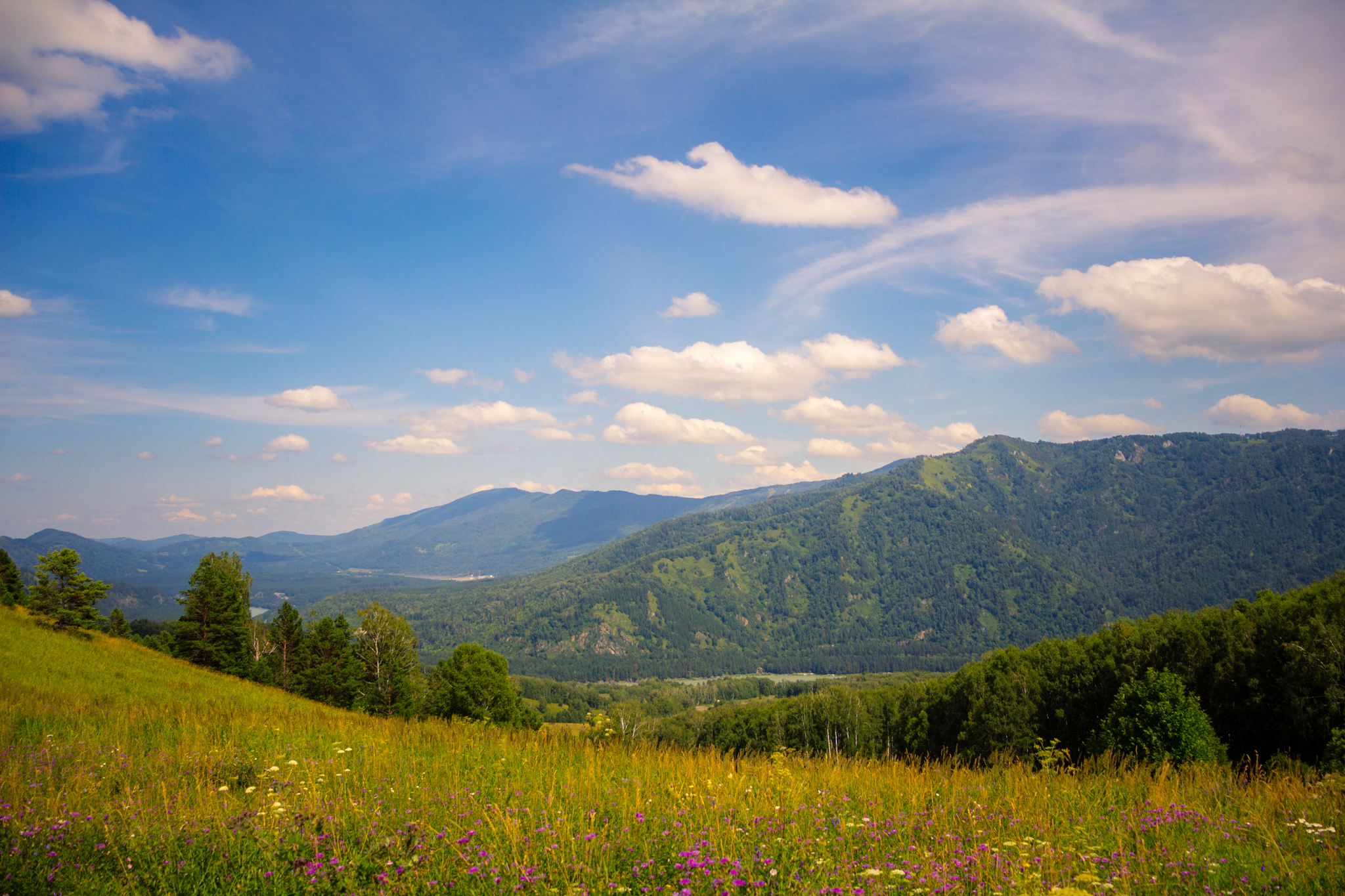 Some vacation photos - My, Altai, Barnaul, Street photography, Canon 60d, Beginning photographer, Longpost, Katun, Petroglyphs, Horses, Altai Republic