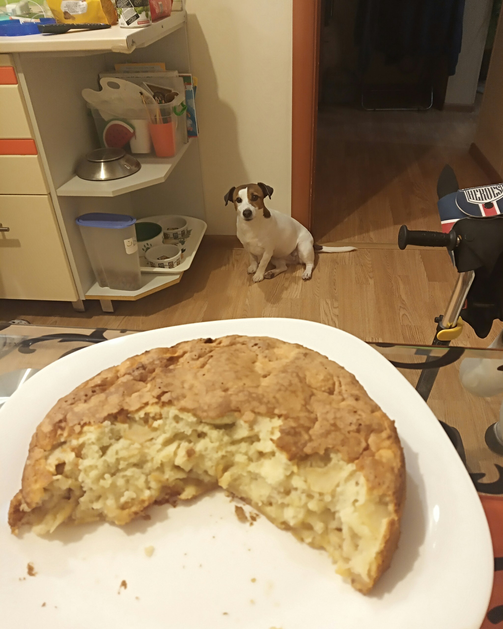 Left the kitchen for a couple of minutes... - My, Jack Russell Terrier, Pie, Charlotte