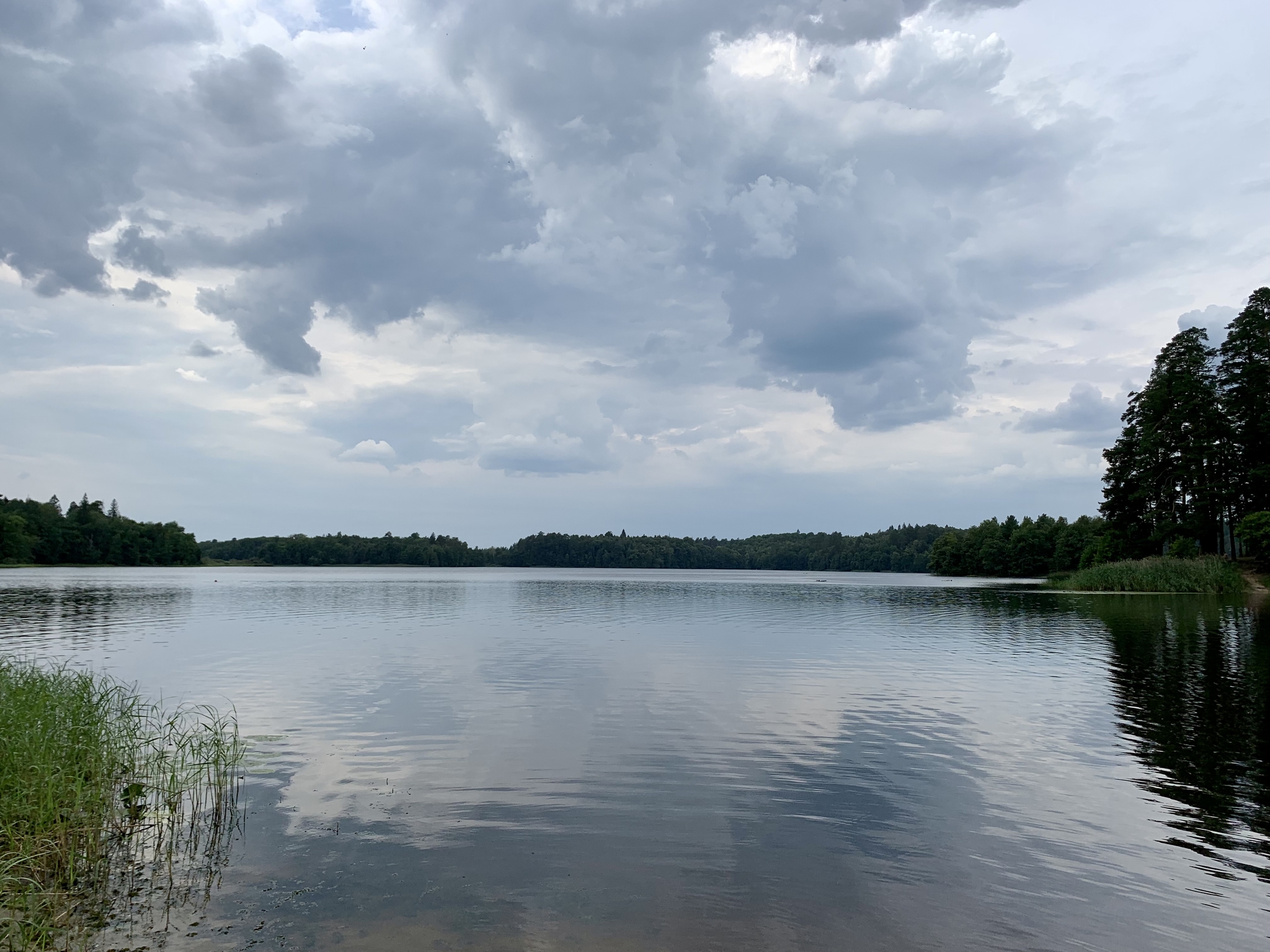 Инютинское озеро нижегородская область фото