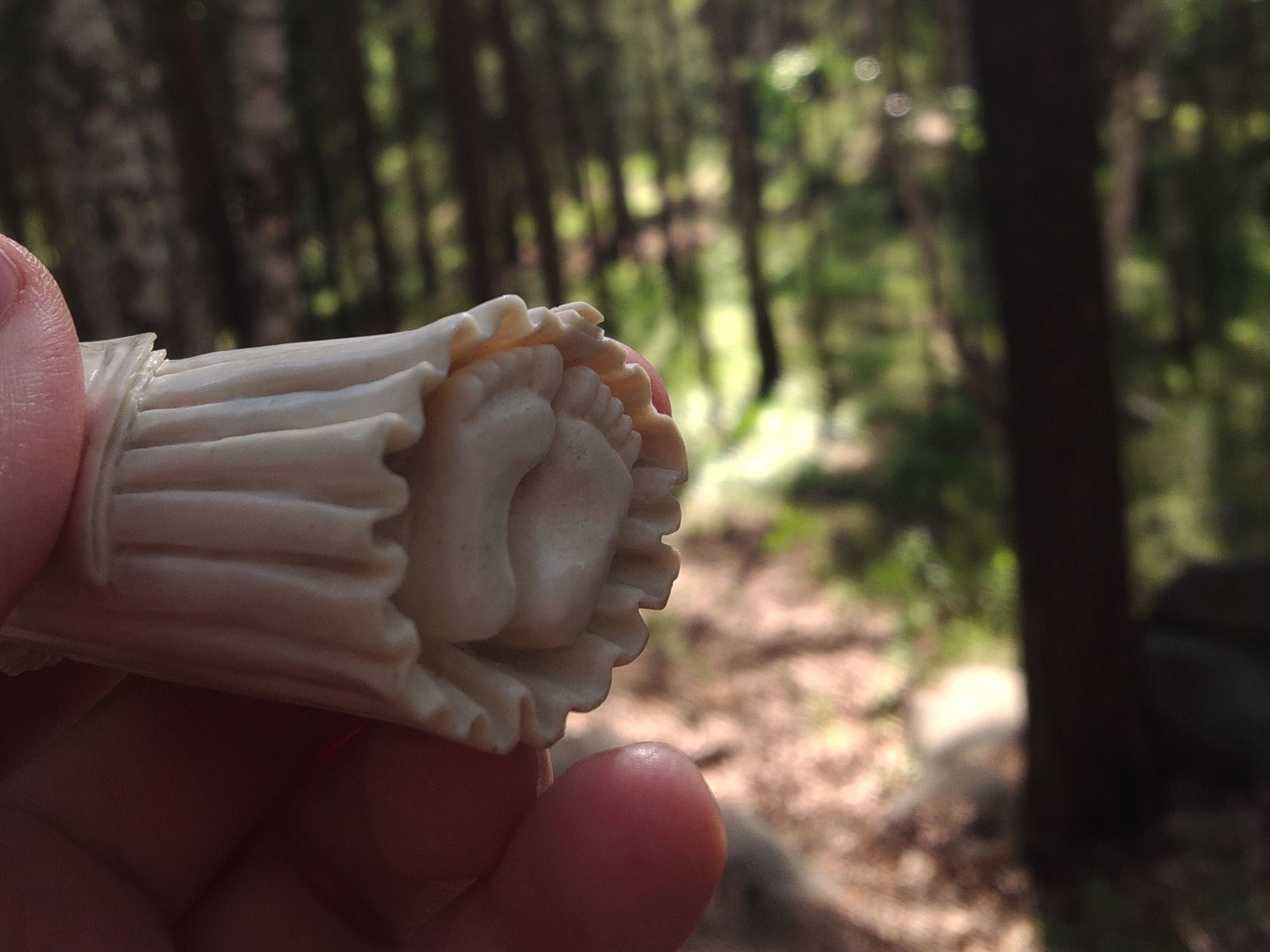 Galadriel from the horn of an elk! - My, Bone carving, Needlework with process, Galadriel, Lord of the Rings, Handmade, With your own hands, Video, Longpost