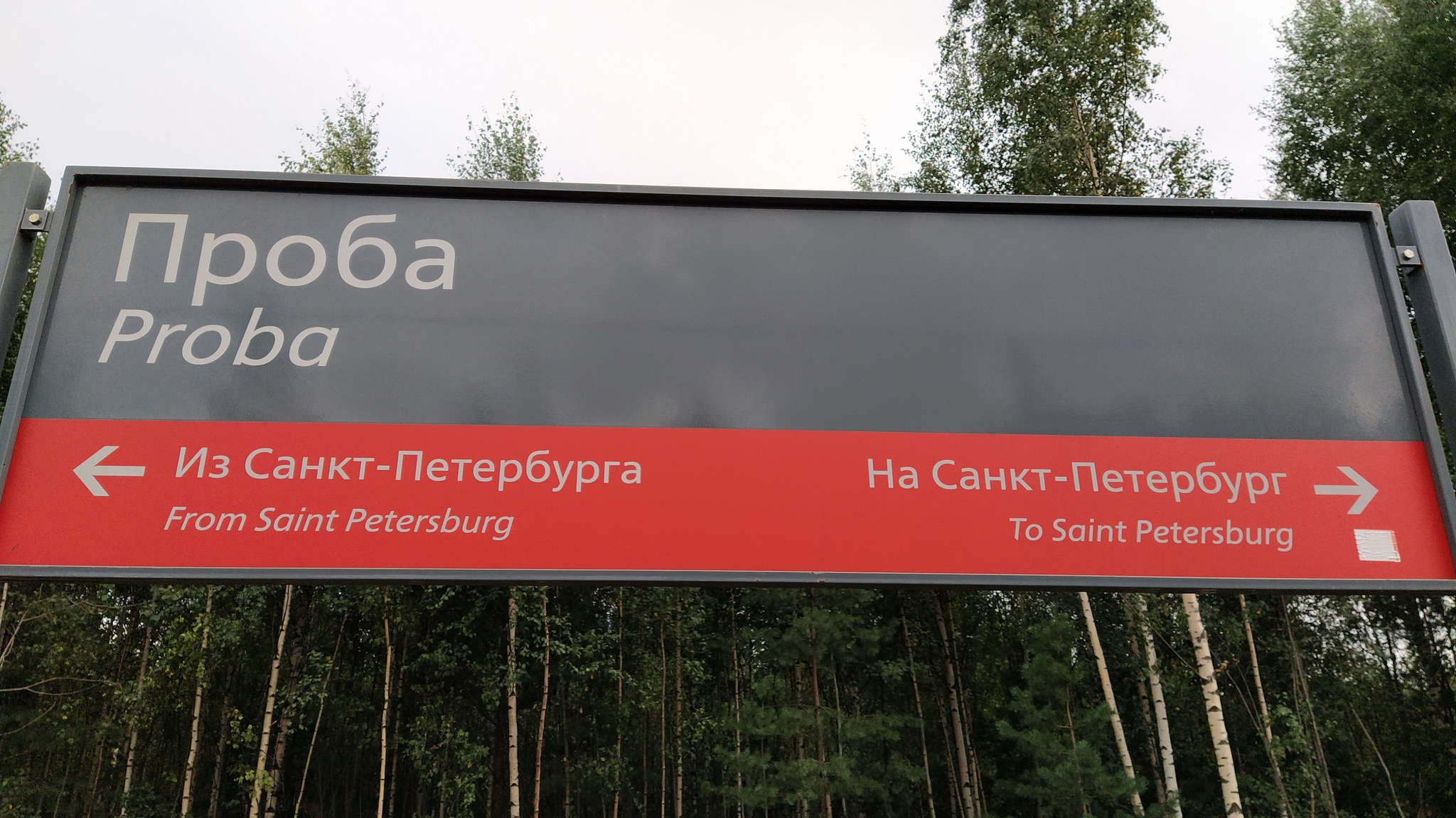 Proba, 5 km up the Lepsari - My, Mushrooms, Leningrad region, Forest, Nature, Longpost