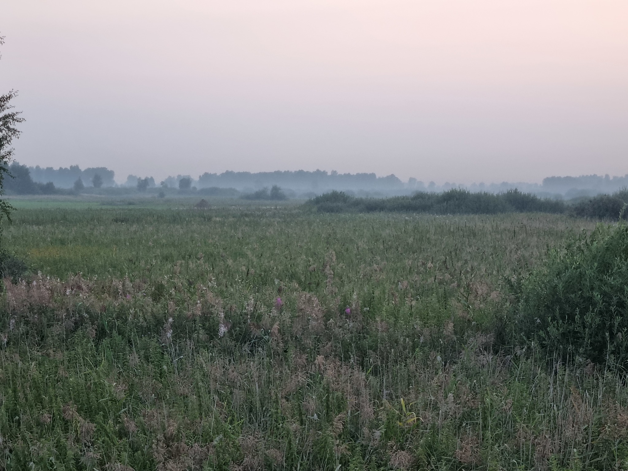 Окрестности Выльгорта, Чердынского района, Пермского края - Моё, Тюмень, Путешествие по России, Лес, Черная Книга, Длиннопост, Фотография