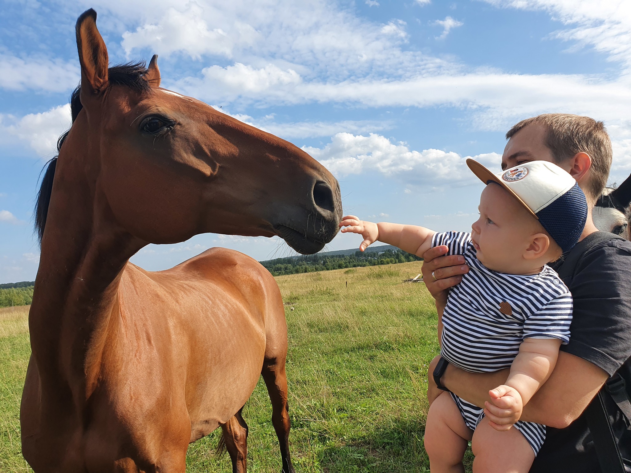 Acquaintance with the beautiful - My, Farm, Horses, Cow, Children, Longpost