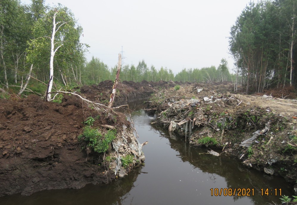 State of emergency as an excuse to destroy wetlands - Irkutsk, Nature, Ecology, Ryabtsev, Eco-city, Baikal, Longpost