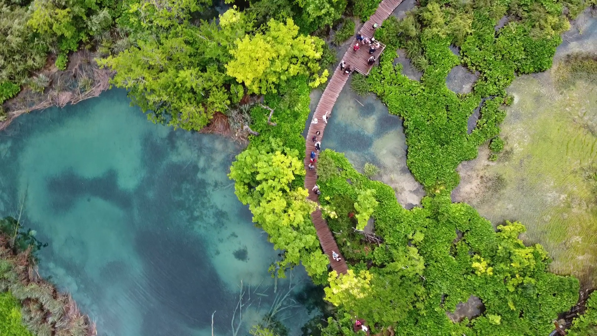 Plitvice Lakes - the best thing that happened to us in Croatia - My, Travels, Croatia, Longpost, Plitvice Lakes, Split, Tourism, Video, The photo, Video blog