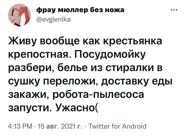 Не жизнь, а каторга - Юмор, Скриншот, Twitter, Ирония, Бытовая техника