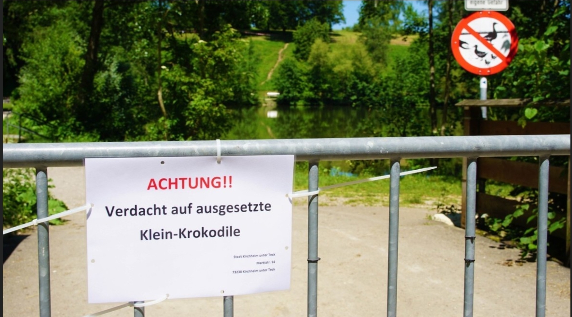 Achtung Krokodile - My, Crocodiles, Germany, Mushrooms, Police, Search, Longpost