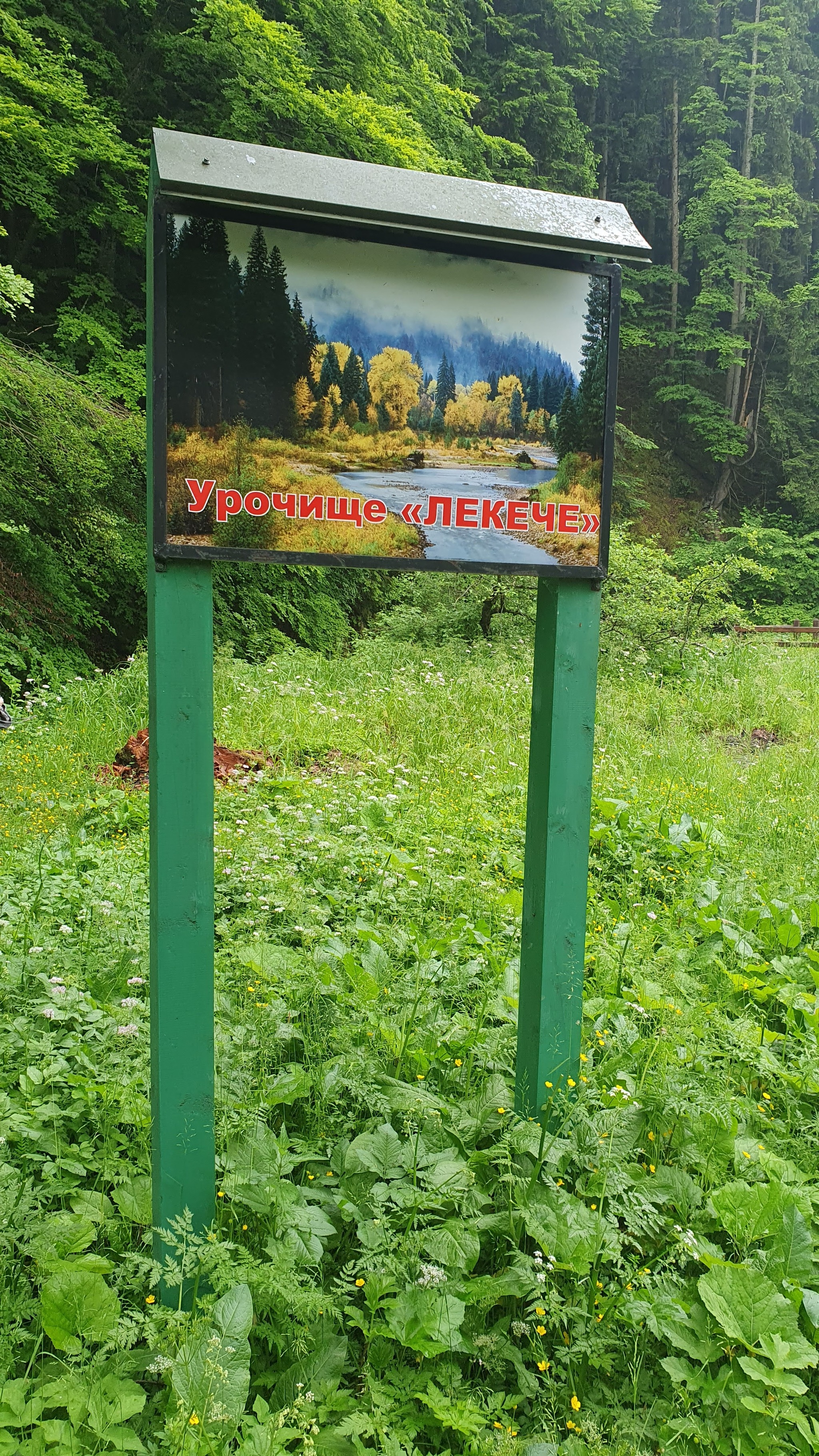 Водопады Украины: Лекечи, 20/06/21 - Моё, Водопад, Карпаты, Туризм, Красота природы, Видео, Длиннопост