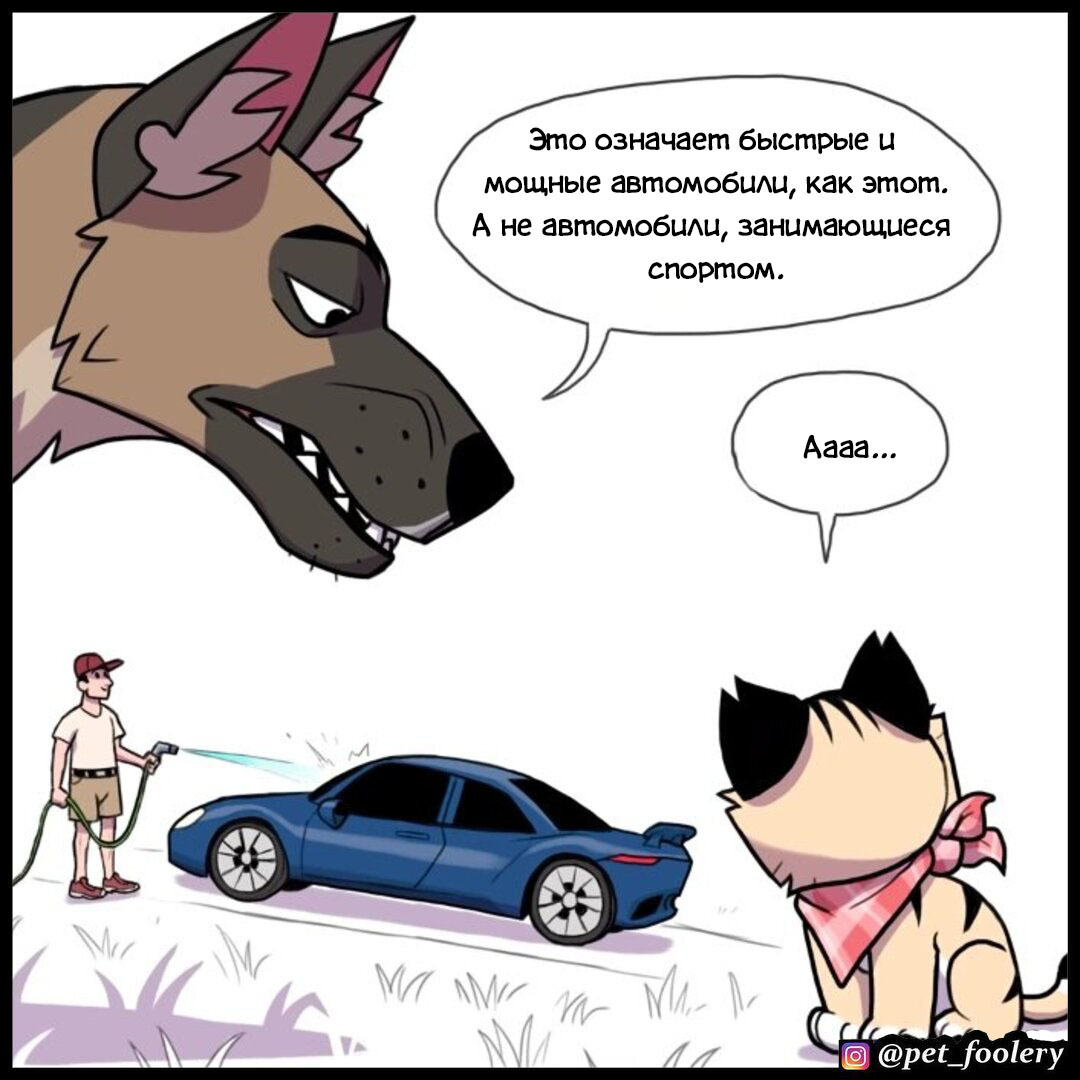 sports car - Pet foolery, Brutus and Pixie, cat, Dog, Comics, Sports car, Longpost