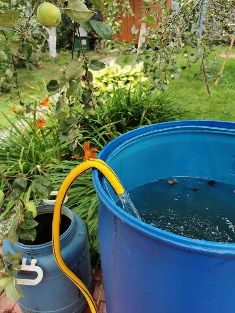 So that the hose does not fall out of the barrel (I invented it myself, and now everyone is copying :))) - My, Barrel, Dacha, Life hack, Hose, Water supply, Watering, Video, Longpost