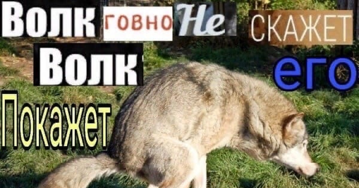 Цитаты на все случаи жизни - Юмор, Философия