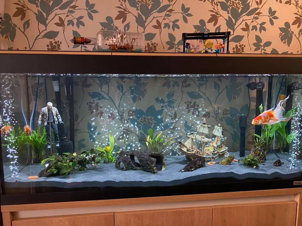 Pamela's son - Aquarium, Decor, Creative, Jason Voorhees, The photo, Longpost