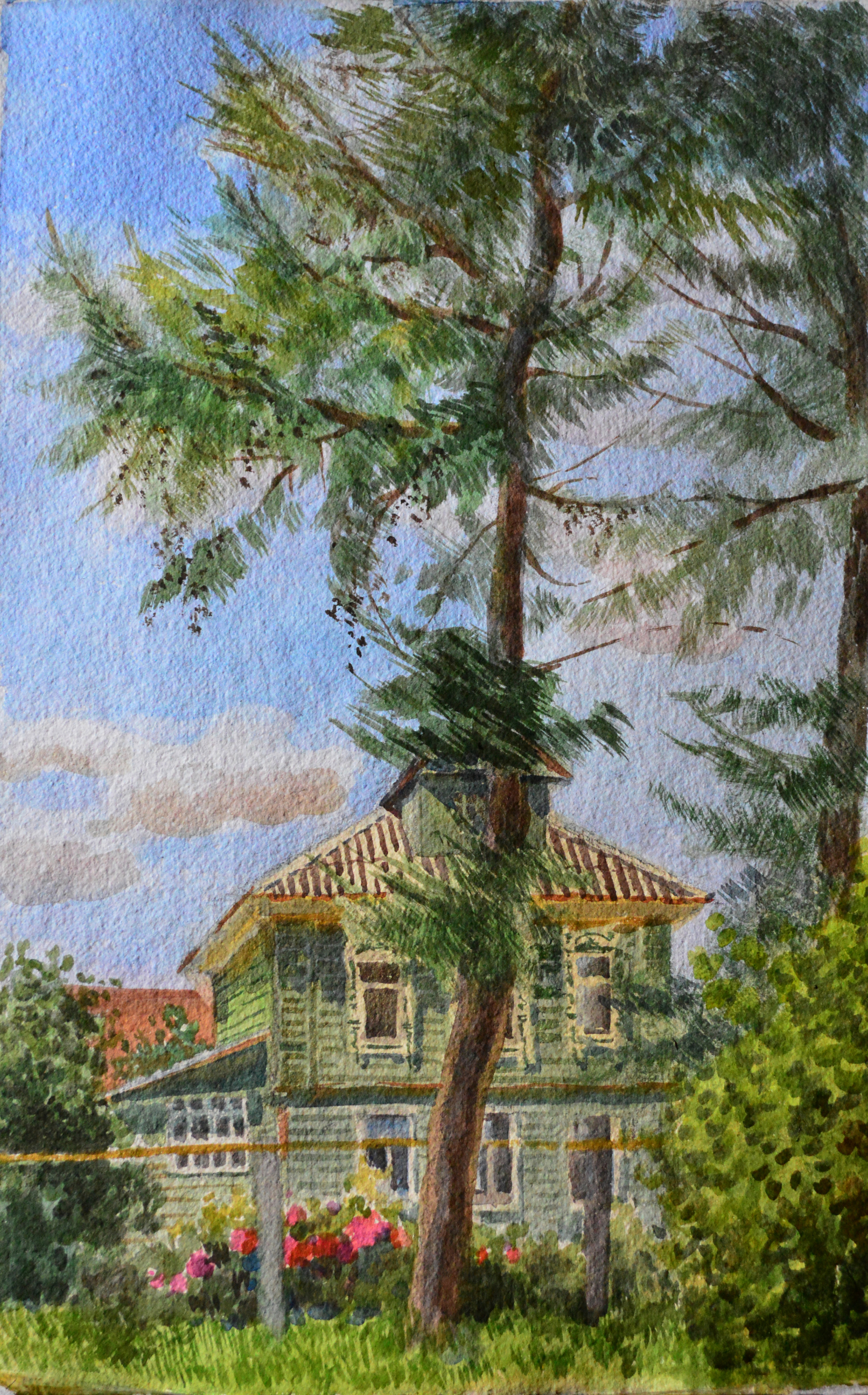 Centennial firs and a house - My, Landscape, Etude, Painting, Painting, Watercolor, Realism, Art, Art, , Nature, House