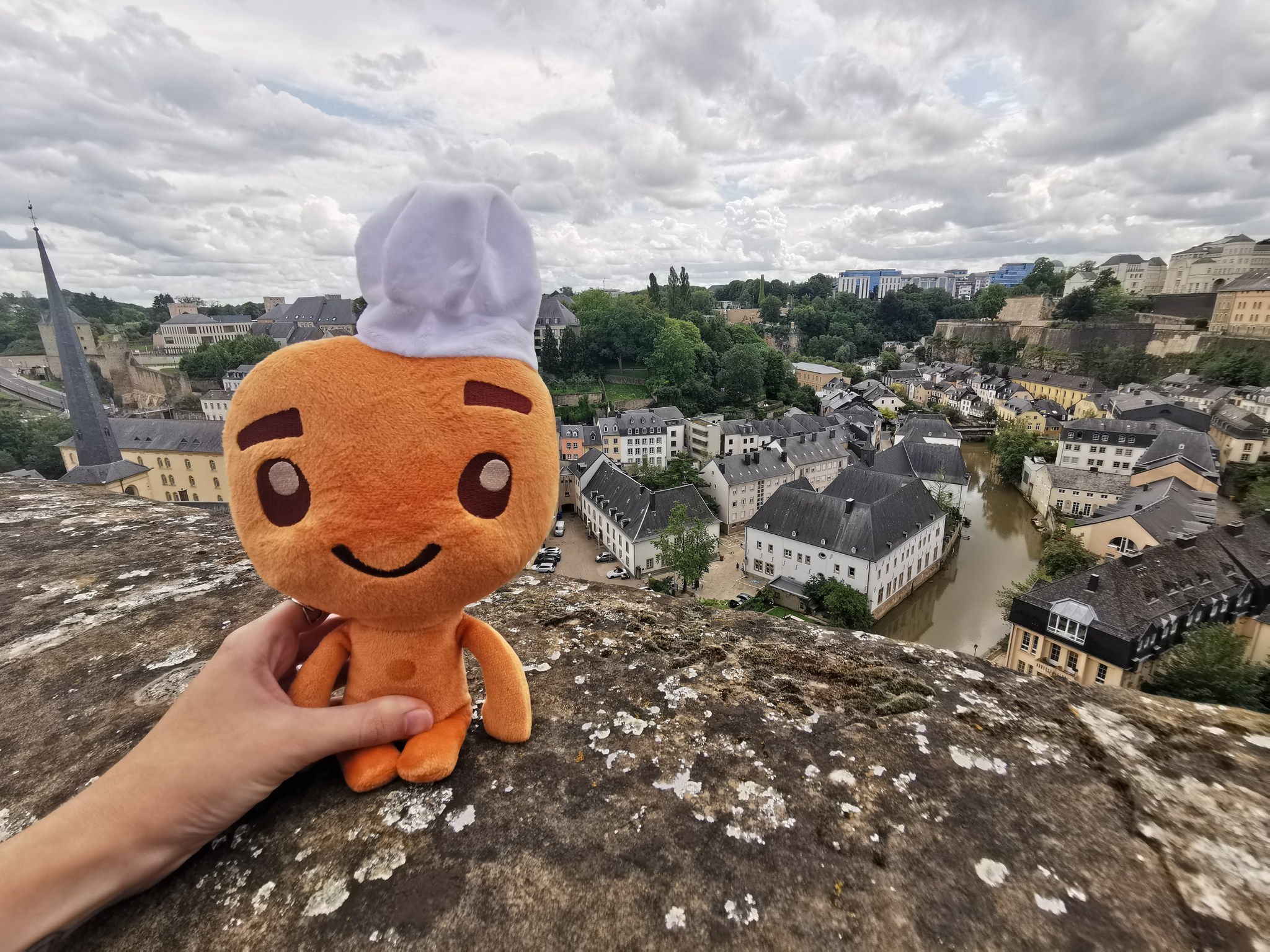 Cookie-traveler or Gallop through Europe - My, Cookie, Travels, France, Belgium, Germany, Luxembourg, Netherlands (Holland), L4rever, , Mat, Longpost