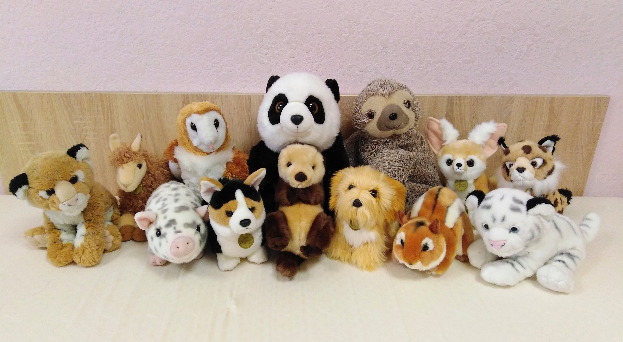 My obsession - My, Toys, Plush Toys, Collection, Animals, Milota