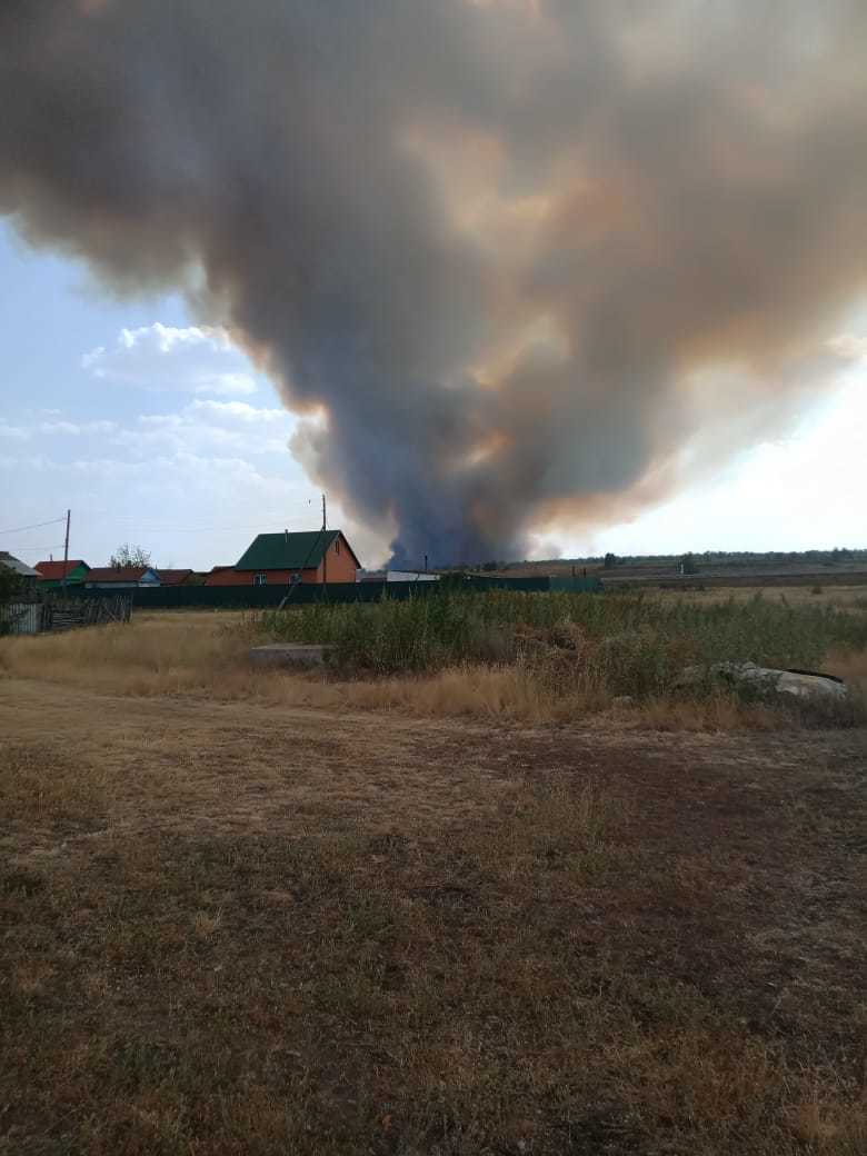 Forest fires have also reached the Orenburg region, where, in principle, they never happened. - My, Fire, Forest, Village, Longpost