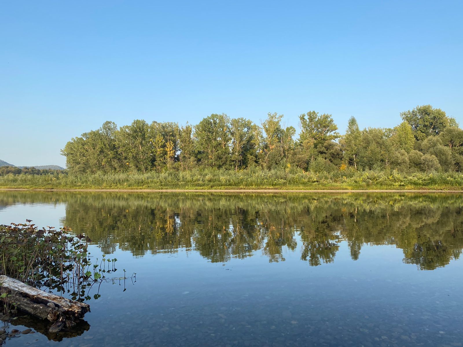 Bashkiria, neighborhood with. Arkhangelsk, r. Inzer - My, Nature, beauty, Mobile photography, Reflection, Longpost