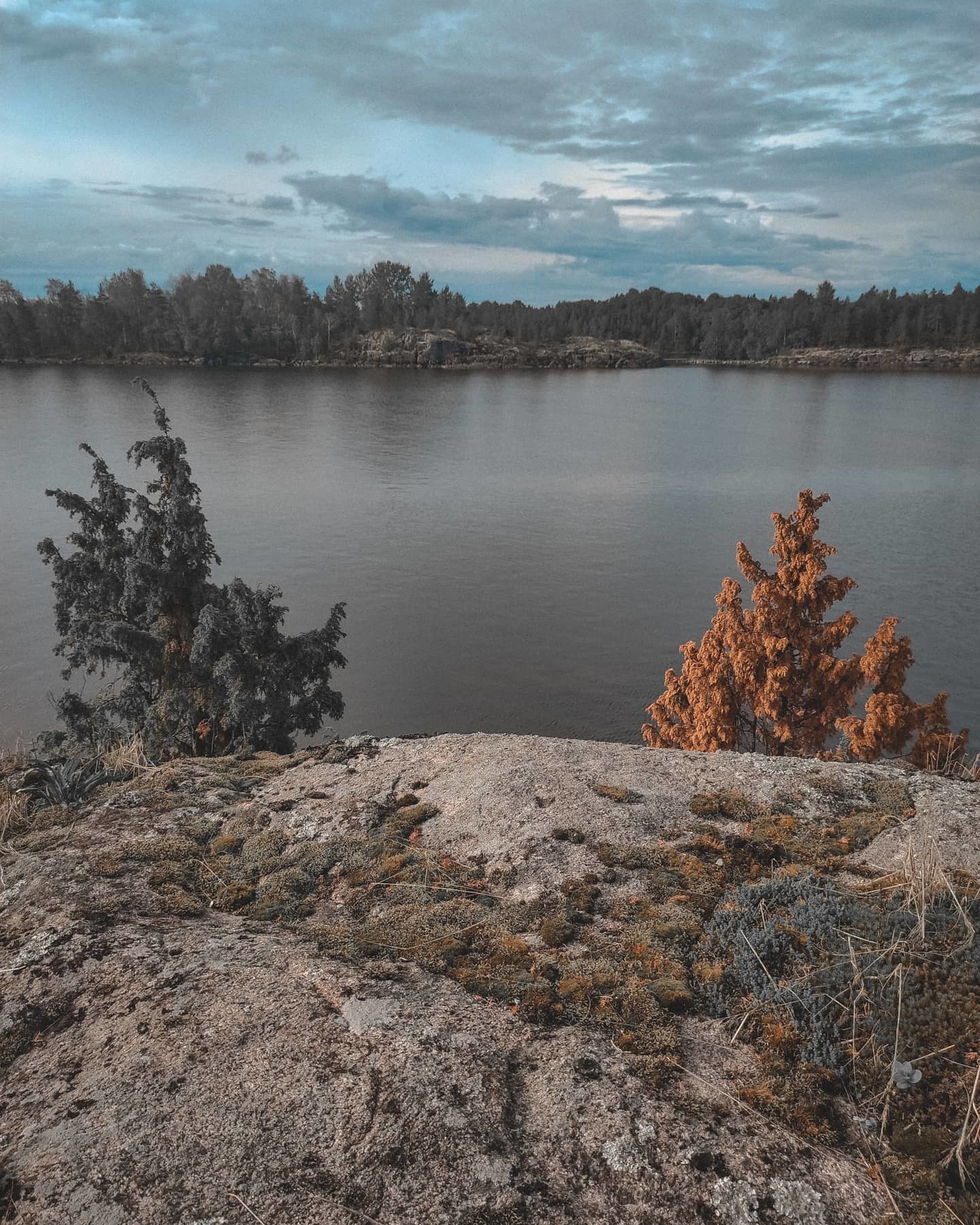 We are in Karelia - My, Карелия, Nature, Russia, Longpost, Video