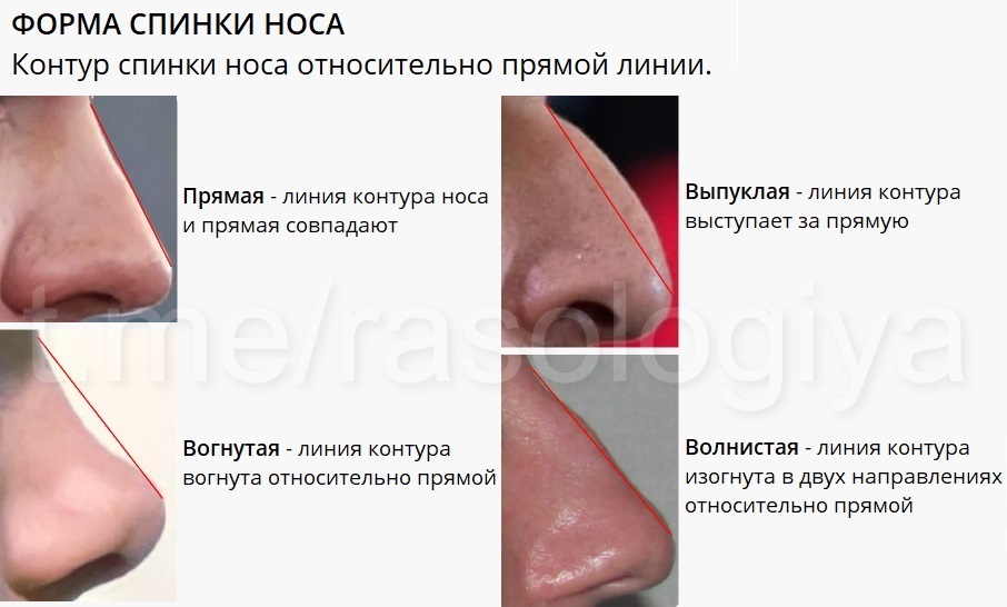 An Illustrative Example of Anthropometric Measurements - My, Racology, Anthropology, Racial studies, Anthropometry, Biometrics, Longpost