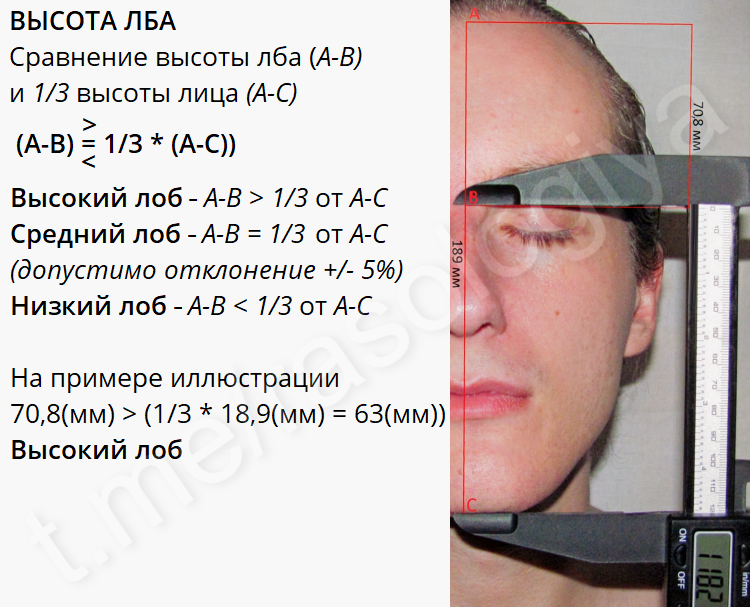 An Illustrative Example of Anthropometric Measurements - My, Racology, Anthropology, Racial studies, Anthropometry, Biometrics, Longpost