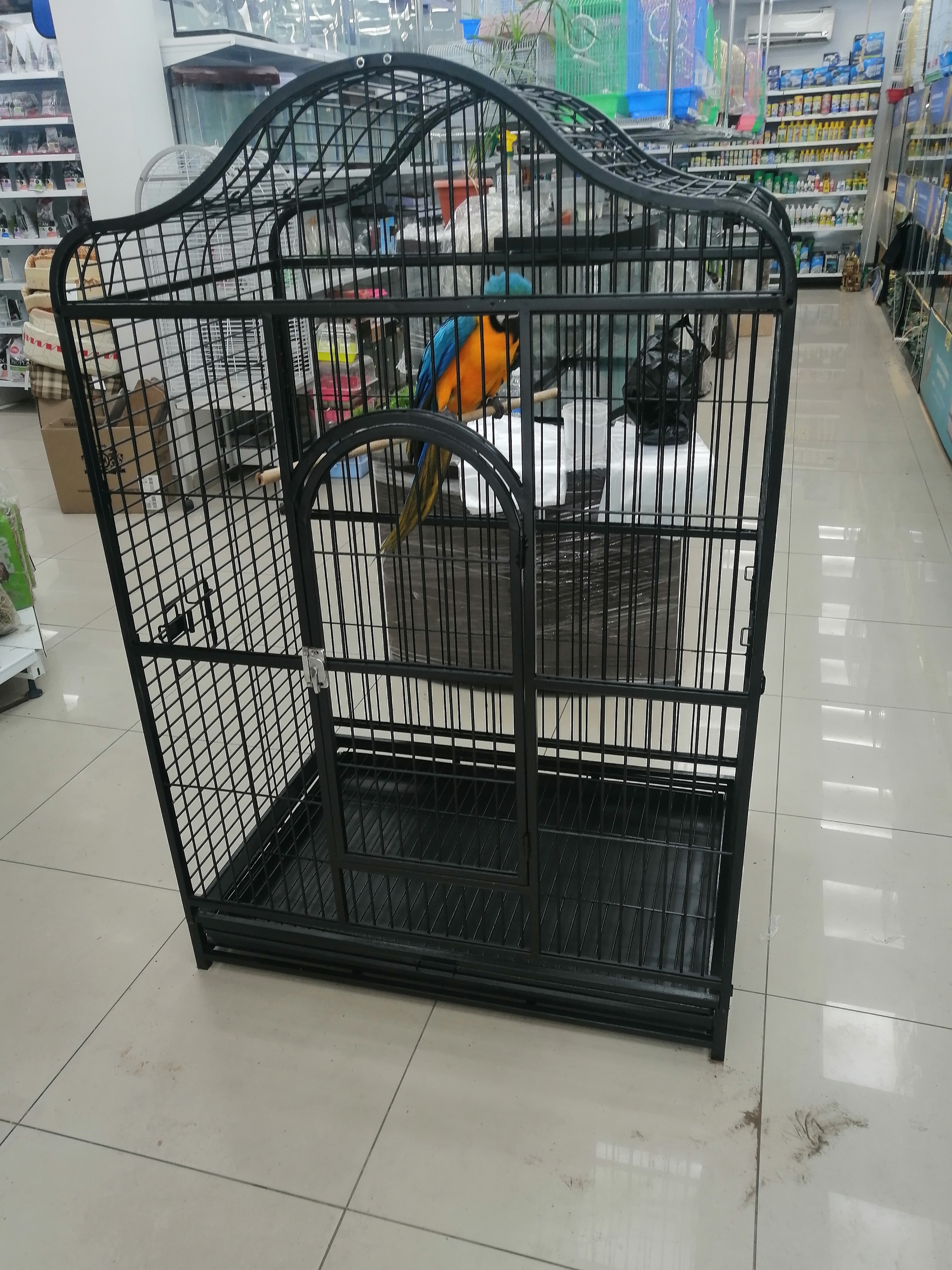 Home for a pet store resident - My, A parrot, Cell, Welding, Longpost