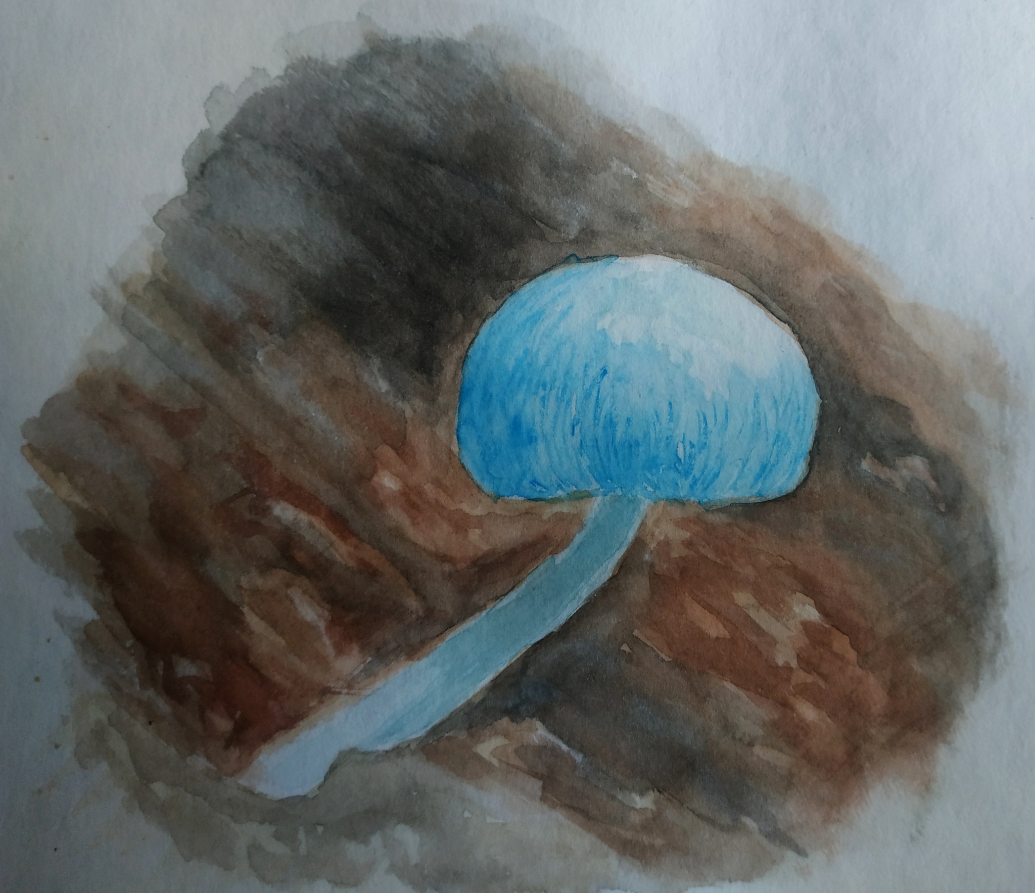 watercolor samples - My, Watercolor, Watercolor paper, Liner, Mushrooms, Sketch, Sketch, Longpost