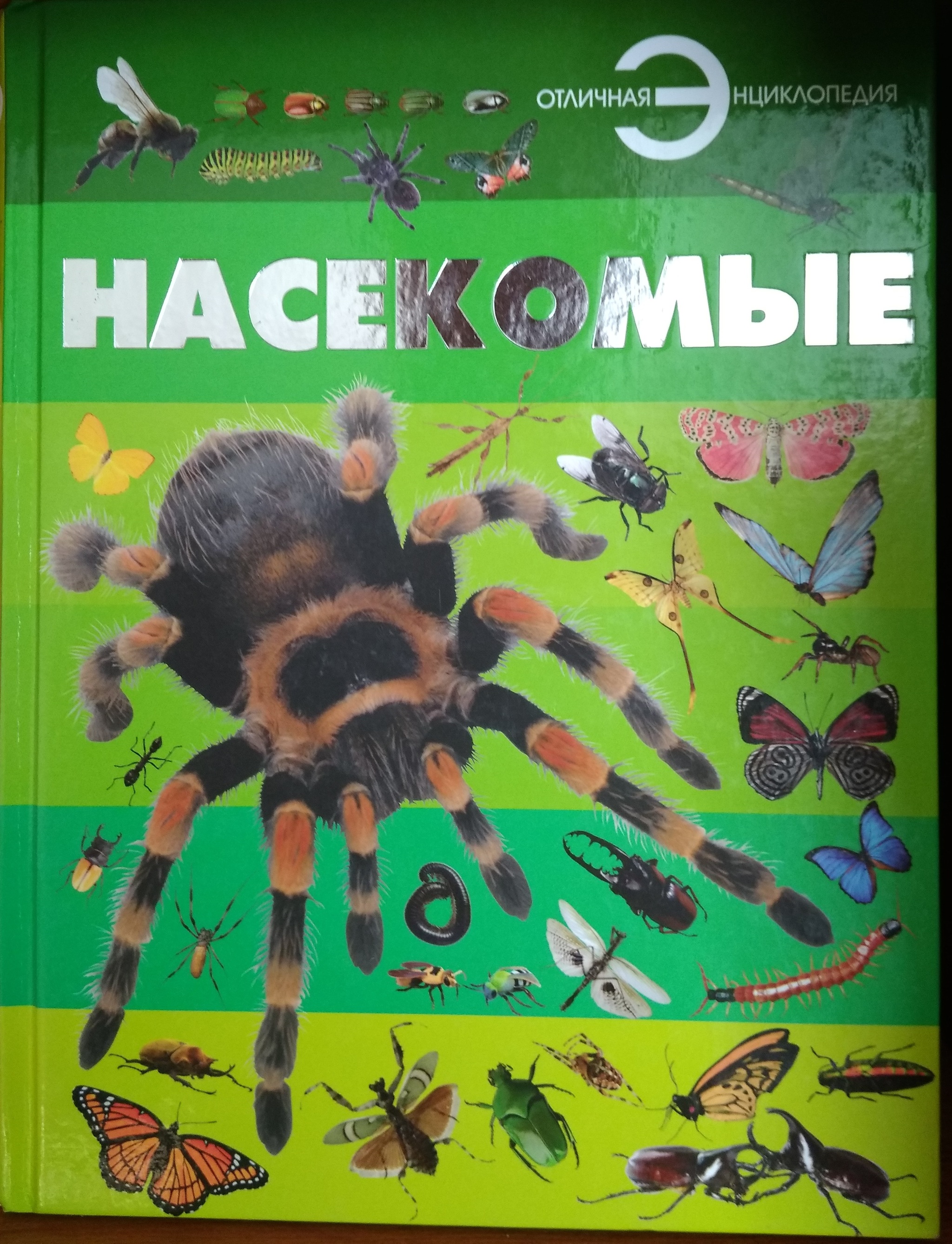 Дети, не верьте! Они втирают вам какую-то дичь - Моё, Обман, Насекомые, Энциклопедия, Ложь, Образование, Паукообразные, Паук, Членистоногие