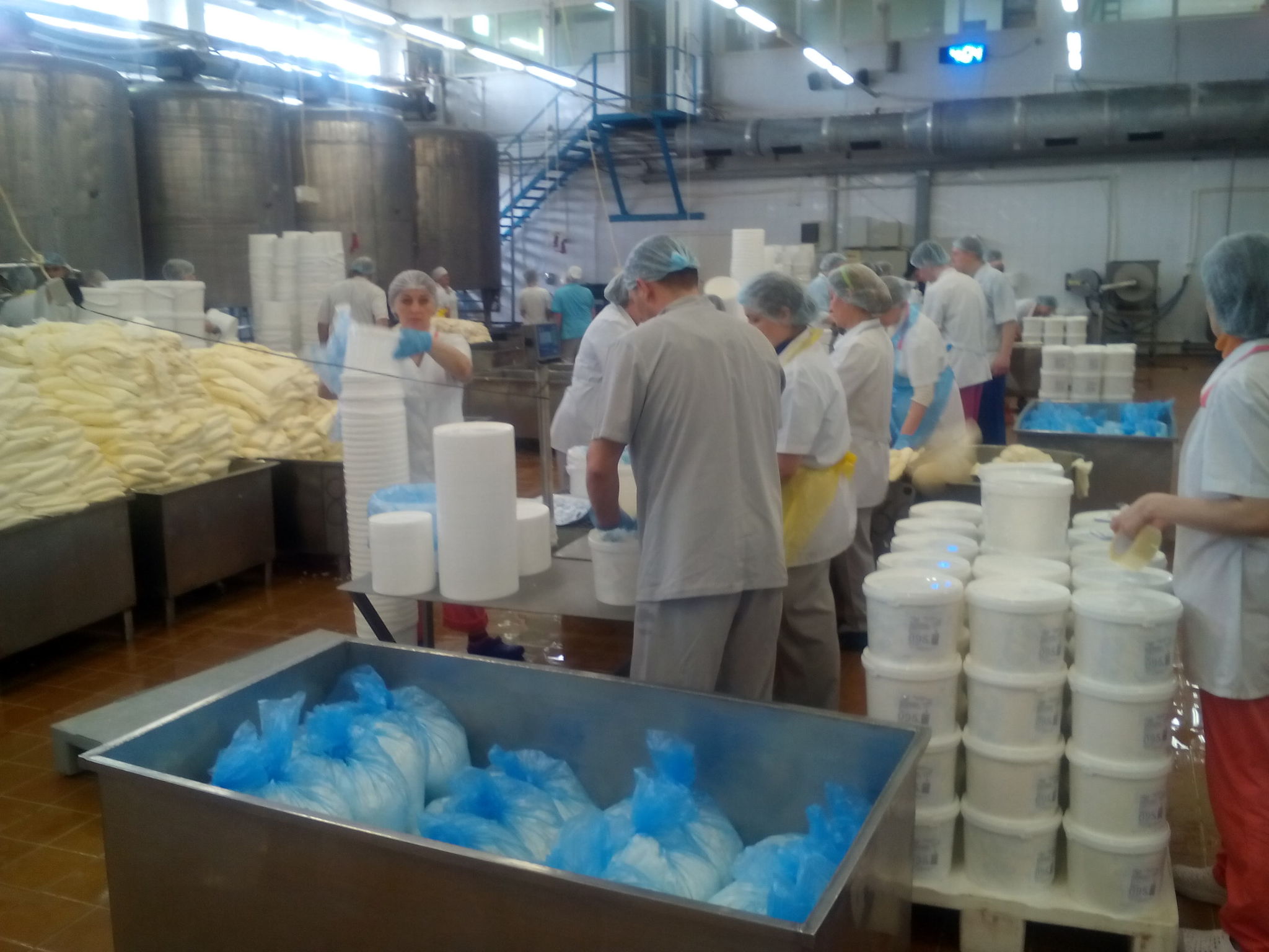 Memories of a Dairy Plant - My, Food industry, Hassp, Longpost, Tula region, Nodal, Combine, Milk products, Production