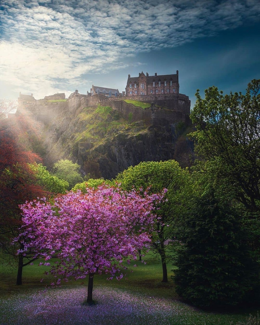 Edinburgh, Scotland - Edinburgh, Scotland, Town, Lock, The photo, Europe, Tree, beauty