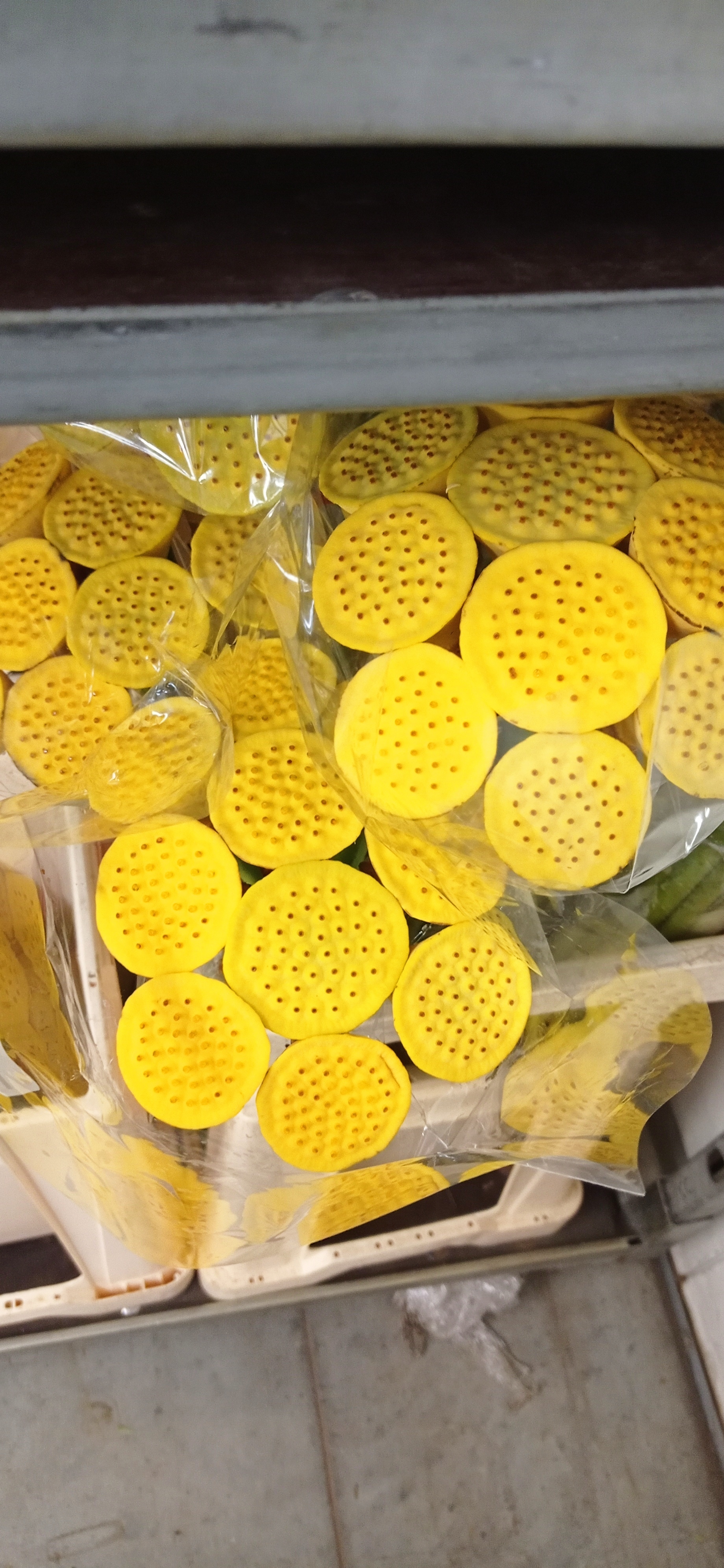 The Joy of Trypophobe - My, Trypophobia, Flowers, Longpost