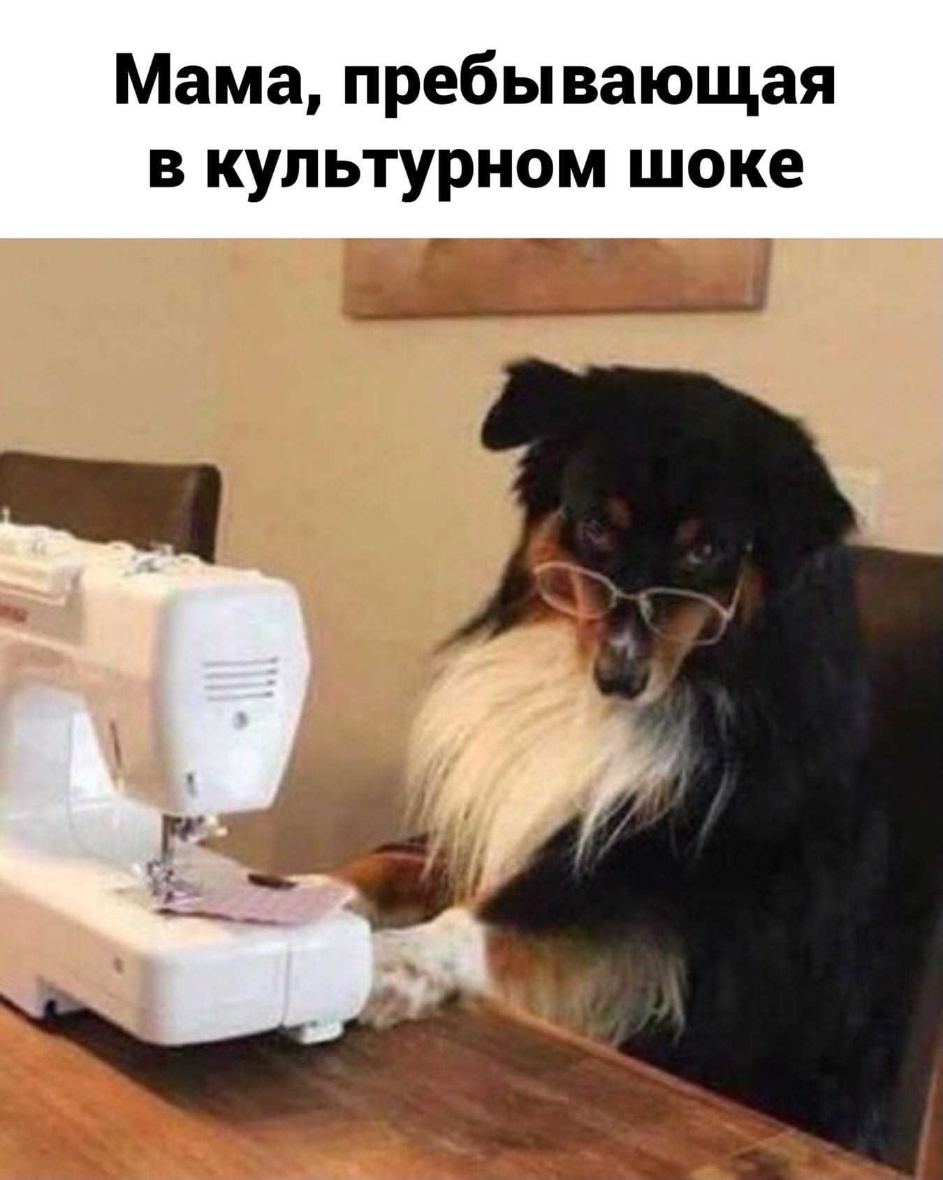 Частушка | Пикабу