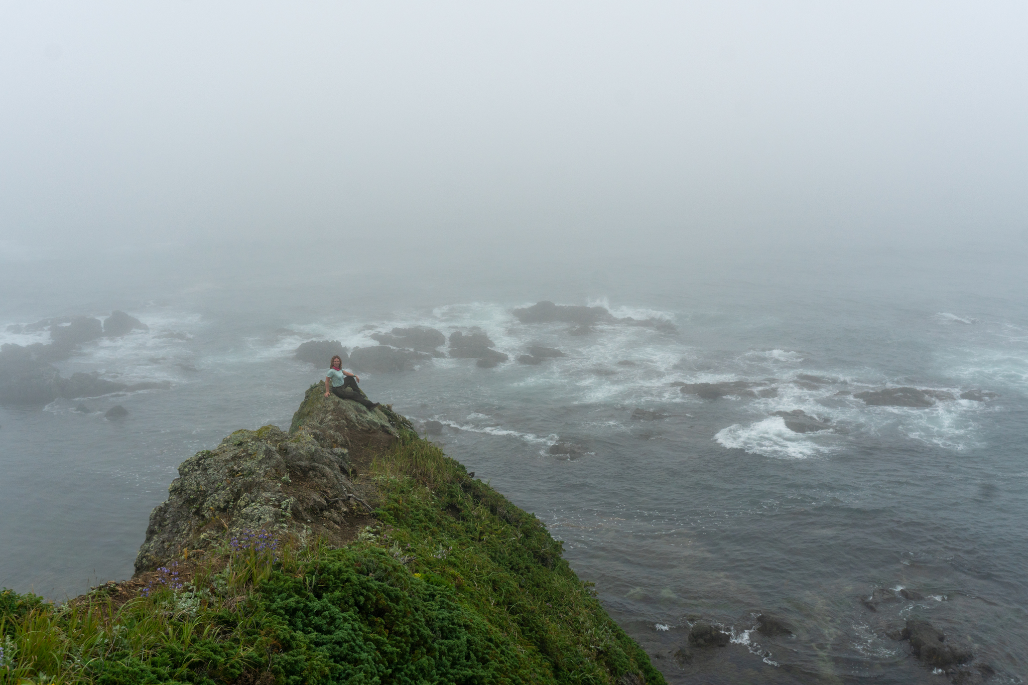 Sakhalin. - My, Sakhalin, Travels, Travel across Russia, The nature of Russia, Nature, Sea, Longpost, Cape Velikan, Wild animals, , Fox