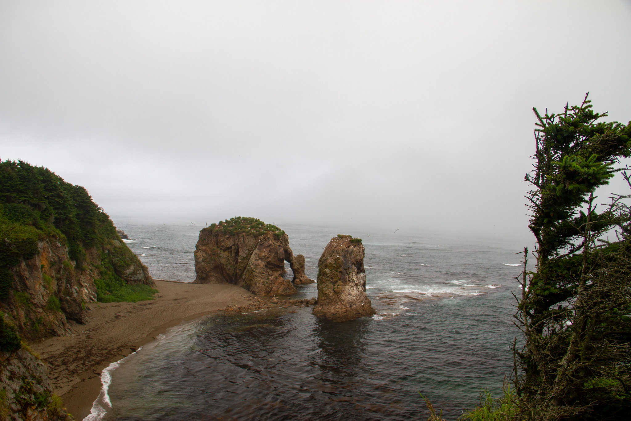 Sakhalin. - My, Sakhalin, Travels, Travel across Russia, The nature of Russia, Nature, Sea, Longpost, Cape Velikan, Wild animals, , Fox