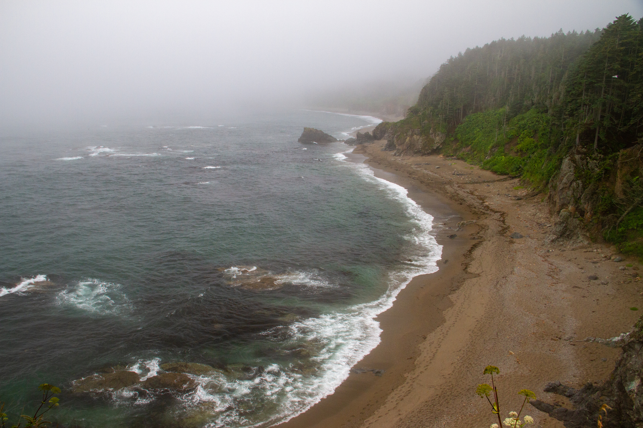 Sakhalin. - My, Sakhalin, Travels, Travel across Russia, The nature of Russia, Nature, Sea, Longpost, Cape Velikan, Wild animals, , Fox