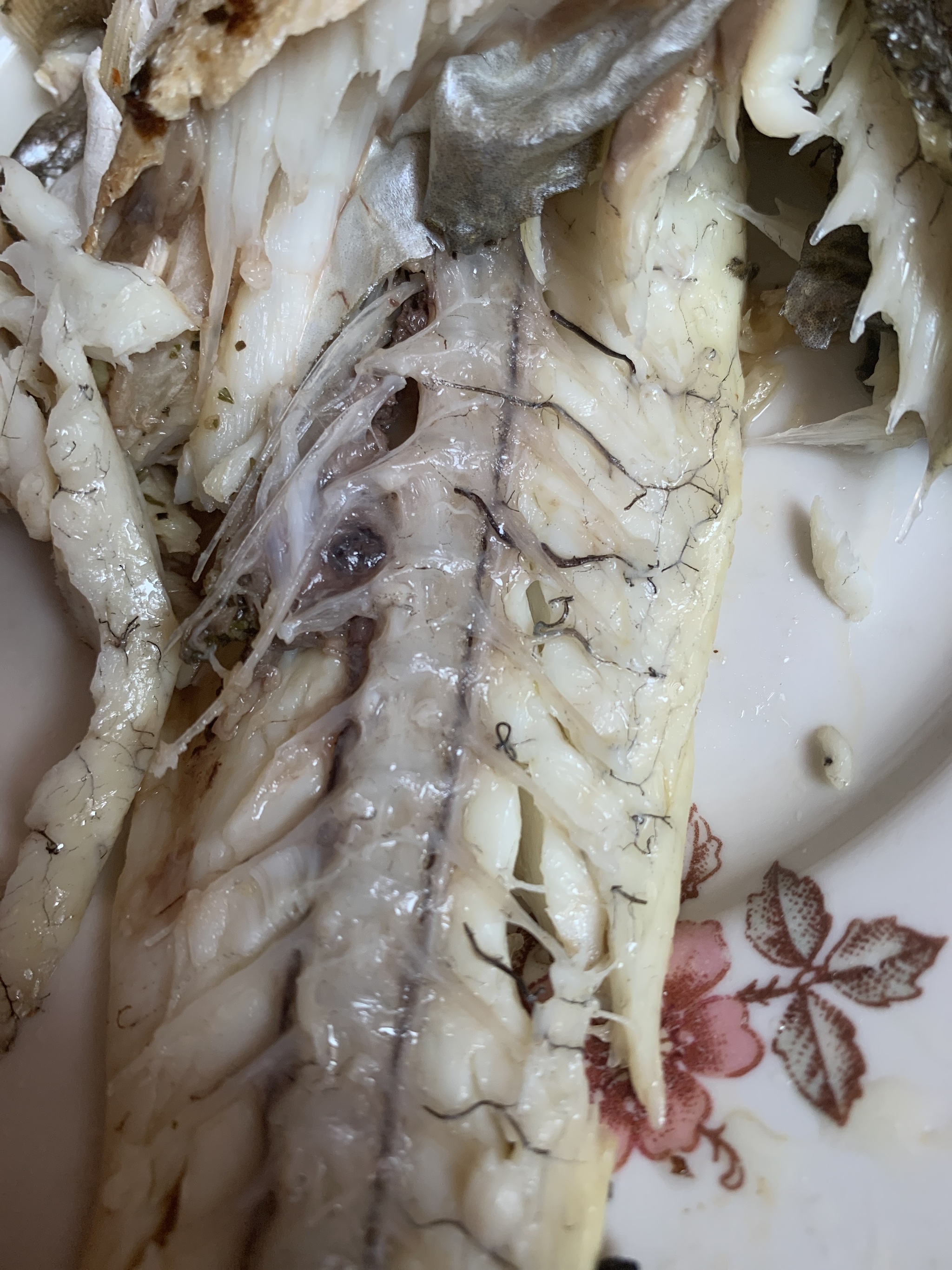 What is it in fish? - My, A fish, The photo, Entrails, Question