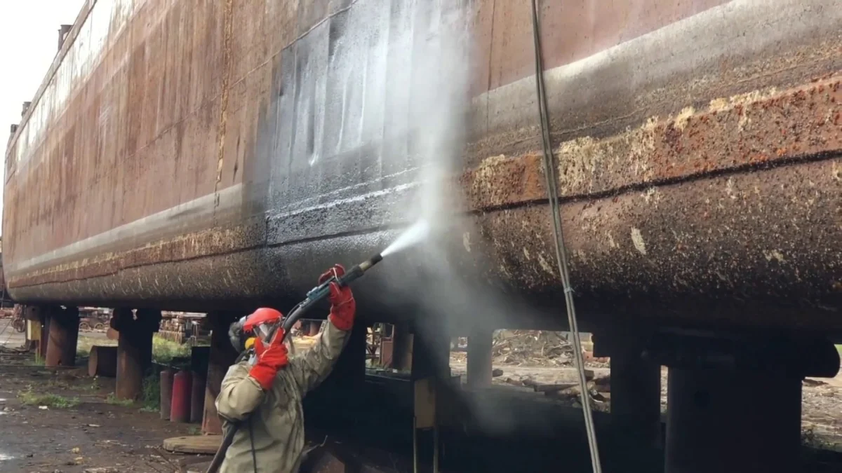 Beard by the ship: How do animals turn ships into rusty scrap metal? - Ship, Vessel, Minerals, Animals, Seaweed, Animal book, Yandex Zen, Longpost