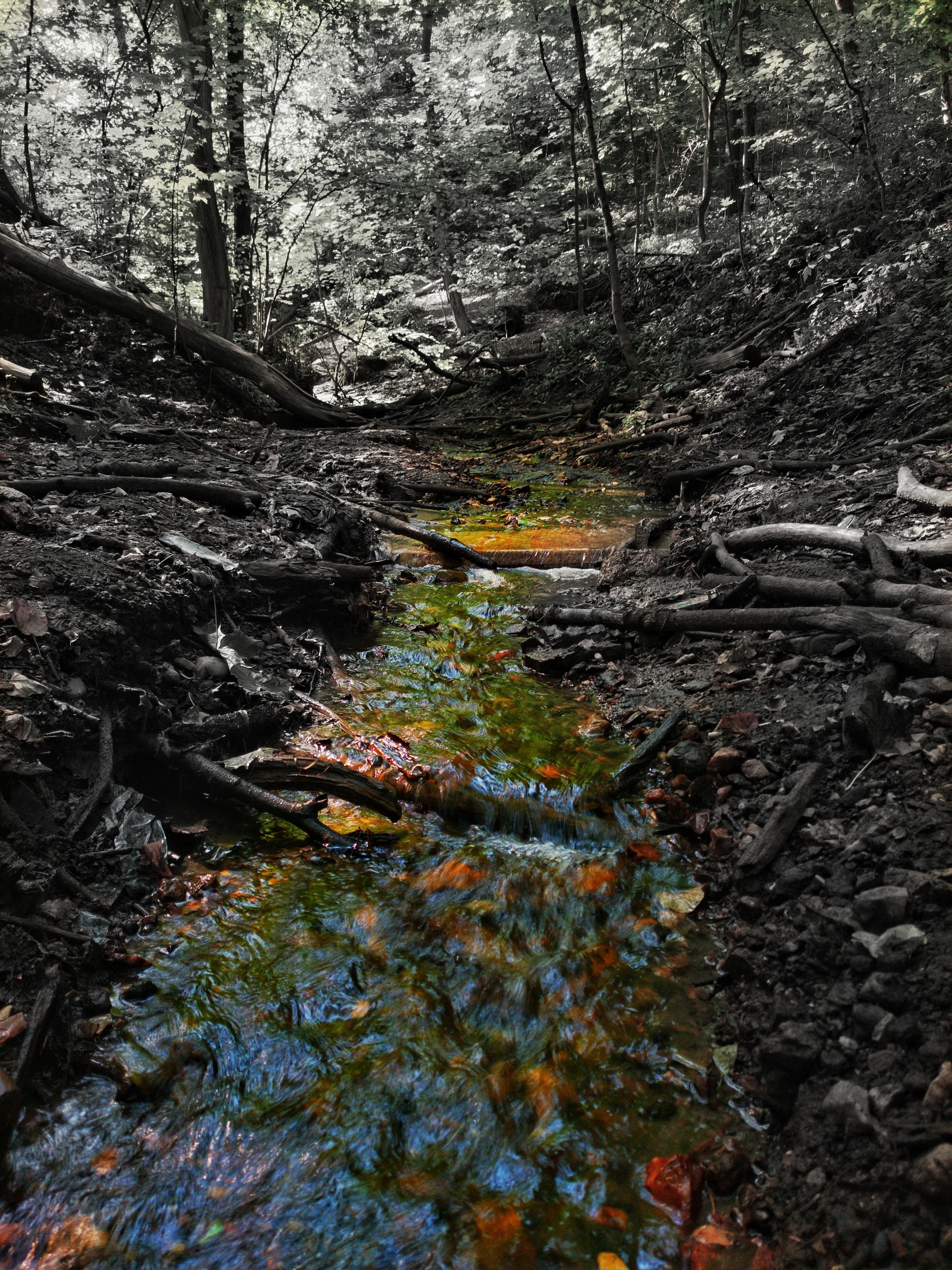 Just a stream - My, Black and white, Mobile photography, Water