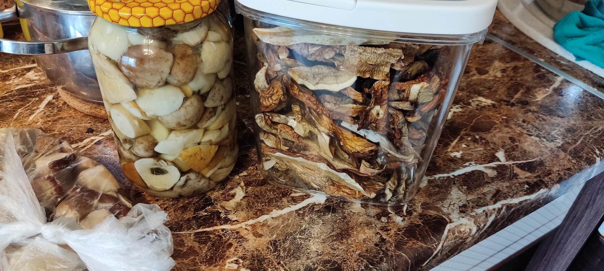 Stocks for the winter - My, Mushrooms, Pickling, Forest, Porcini, Blanks, Nature, Longpost