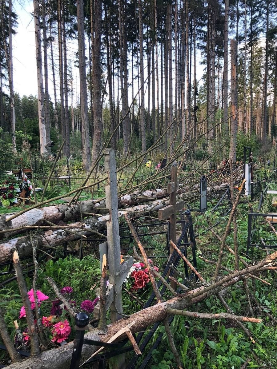 Вопрос про бардак на кладбище | Пикабу